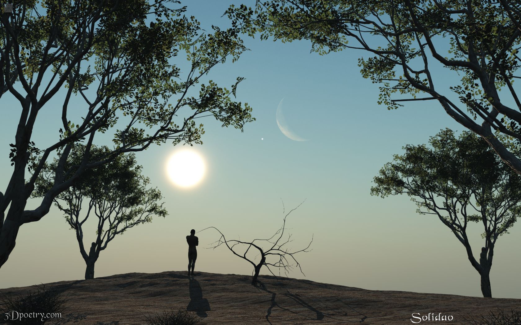 What if ... you could see the real person. What if you could see a silent observer. What if ... indeed